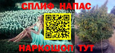 крисы Балаково