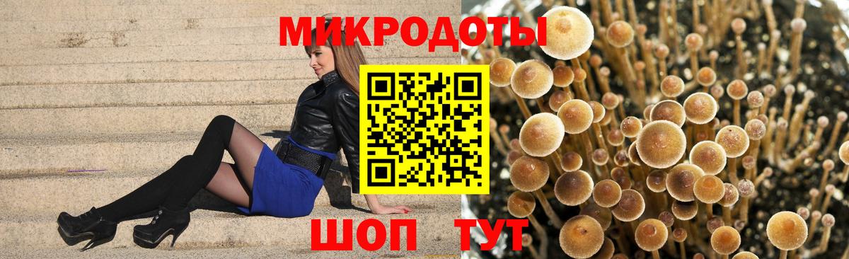 Галлюциногенные грибы ЛСД  Вход с VPN  Ессентуки 