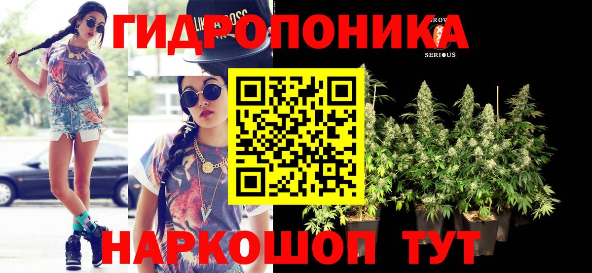 МАРИХУАНА White Widow  Конопля OG Kush  Вход с VPN  Ессентуки  Бошки Шишки тримм 